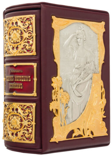 Книга в шкірі «Подарунок молодим господаркам чи засіб до зменшення витрат в домашньому господарстві» — ElitPodarok