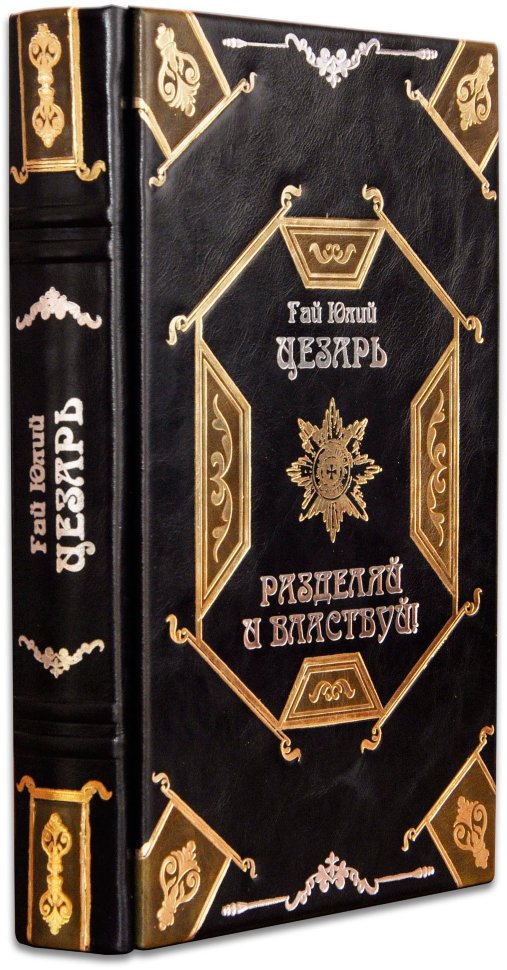 Книжка «Цезар. Розділяй і володарюй» у шкіряній обкладинці фото 1 — ElitPodarok