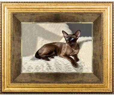 Подарок картина «Кот» — ElitPodarok