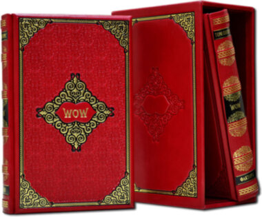 Ексклюзивна книга «WOW-ідеї. 15 принципів інноваційного менеджменту» — ElitPodarok