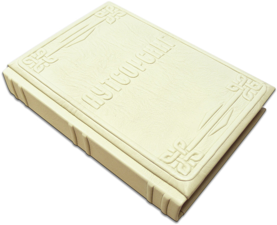 Книга «Аутсорсинг» у шкіряній обкладинці фото 1 — ElitPodarok