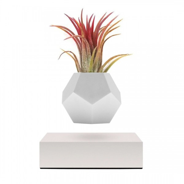 Левітуючий вазон FLYTE Lyfe фото 1 — ElitPodarok