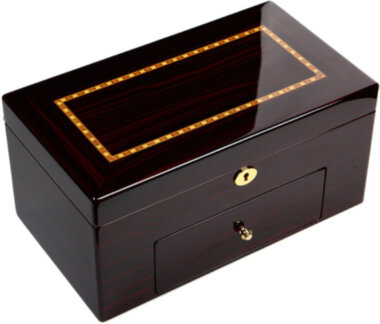 Шкатулка Rothenschild для хранения часов RS-809-20EC — ElitPodarok