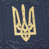 Подарочная книга «Історія Української держави» в кожаном переплете фото 6 — ElitPodarok