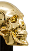 Ложка для обуви GOLD SKULL от PASOTTI фото 2 &mdash; ElitPodarok
