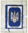 Шкіряна книга М.С. Грушевський «Ілюстрована історія України» в коробці фото 4 — ElitPodarok