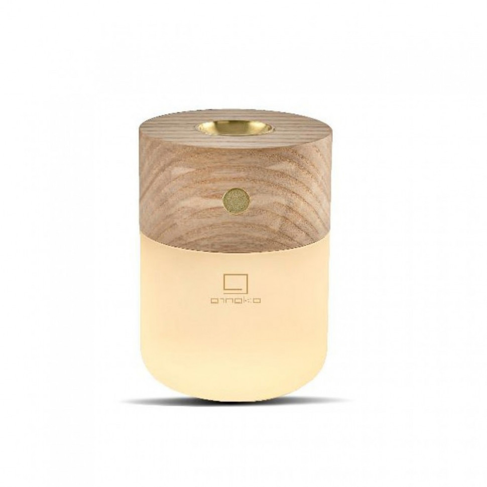 Акумуляторна лампа-дифузор Gingko (Англія), дерево клен фото 1 — ElitPodarok