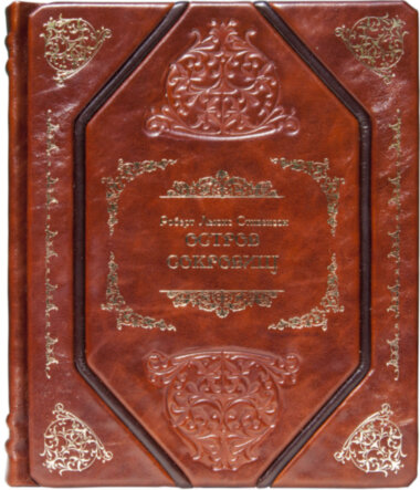 Книга «Острів скарбів» у шкіряній обкладинці — ElitPodarok