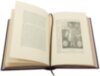 Книга в шкірі «Ілюстрована історія України» Грушевський М.С. фото 6 — ElitPodarok