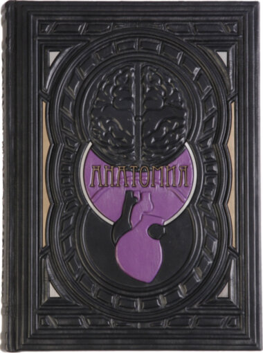 Шкіряна книга «Анатомія. ілюстрований атлас» — ElitPodarok