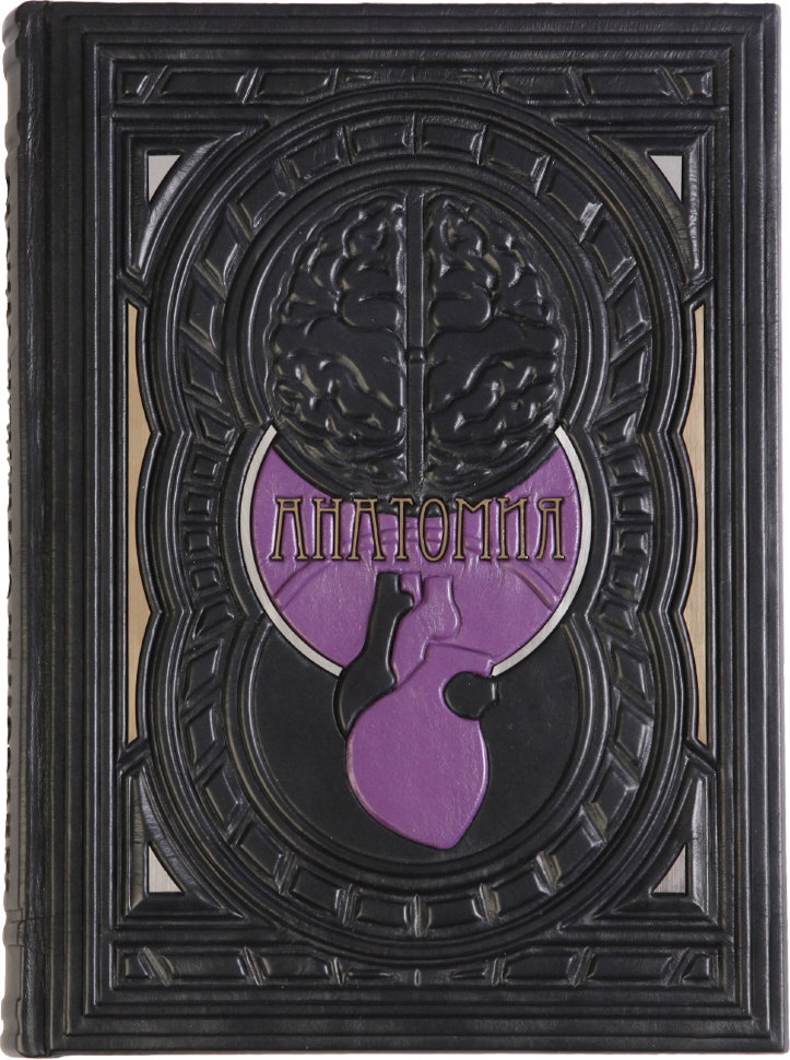 Шкіряна книга «Анатомія. ілюстрований атлас» фото 1 — ElitPodarok