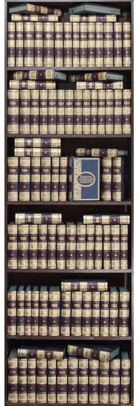 Библиотека в коже «Украинская литература» — ElitPodarok