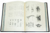 Бібліотека «Архітектурна Енциклопедія»‎ у шкіряній палітурці фото 4 — ElitPodarok