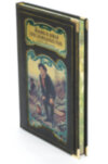 Книга «Жизнь и ловля пресноводных рыб» Л. П. Сабанеев в кожаном переплете фото 2 — ElitPodarok