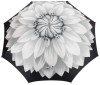 Парасолька-тростина SILVER SUNFLOWER UMBRELLA від PASOTTI фото 2 — ElitPodarok