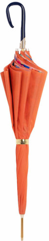 Парасолька-тростина ORANGE UMBRELLA WITH FLOWERS від PASOTTI фото 2 — ElitPodarok