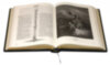 Кожаная книга «Библия в гравюрах Гюстава Доре» фото 3 — ElitPodarok