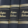 Комплект книг «Марко Вовчок. Зібрання творів» шкіряна обкладинка фото 7 — ElitPodarok