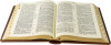 Шкіряна книга «Біблія. Книги Святого Письма Старого та Нового Завіту» фото 7 — ElitPodarok