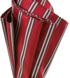 Парасолька-тростина CLASSIC STRIPED UMBRELLA від PASOTTI фото 3 — ElitPodarok